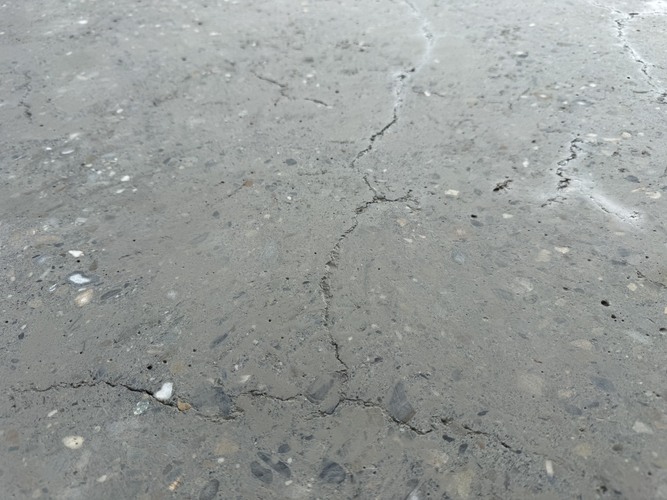 S__104751210.jpg