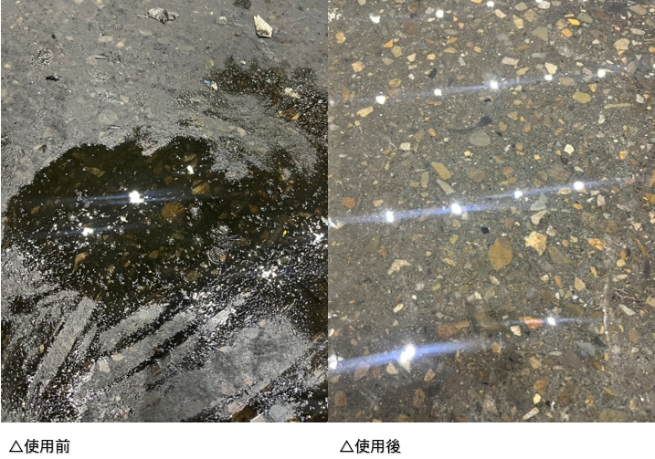 1790831799036.jpg